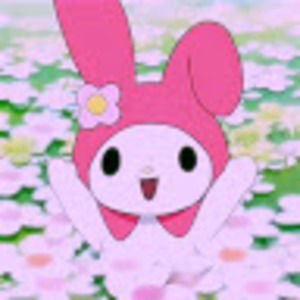 Meet your Posher, Iris